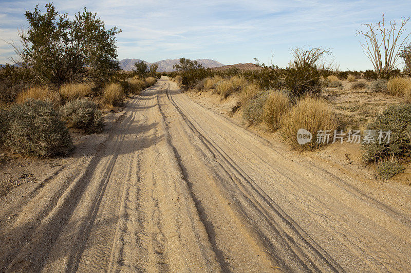 在Butte Wash, Anza Borrego沙漠，加利福尼亚的土路